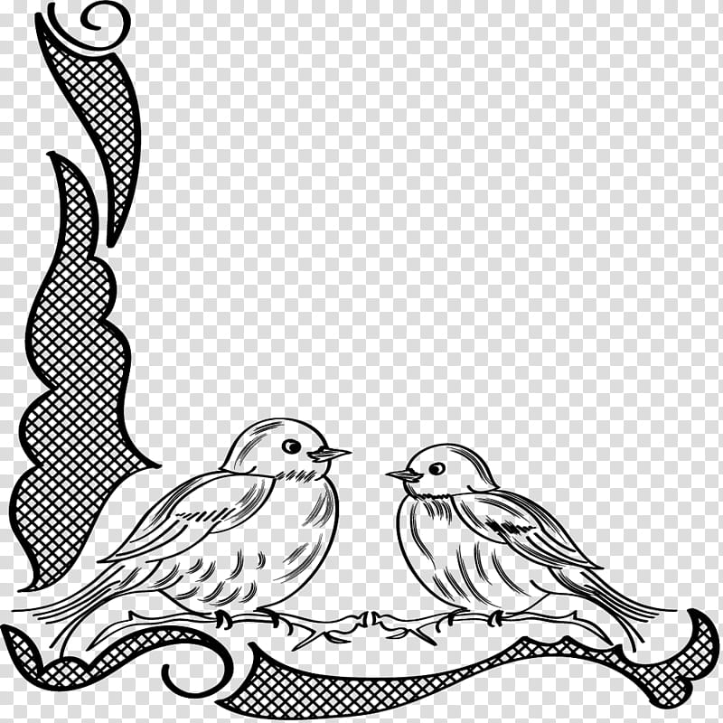 two black perching birds illustration transparent background PNG clipart