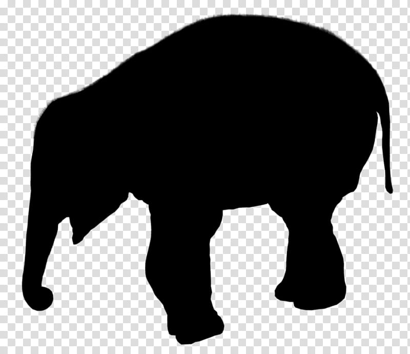 Elephant, African Elephant, Silhouette, Poaching, Drawing, Elephants, Indian Elephant, Black transparent background PNG clipart