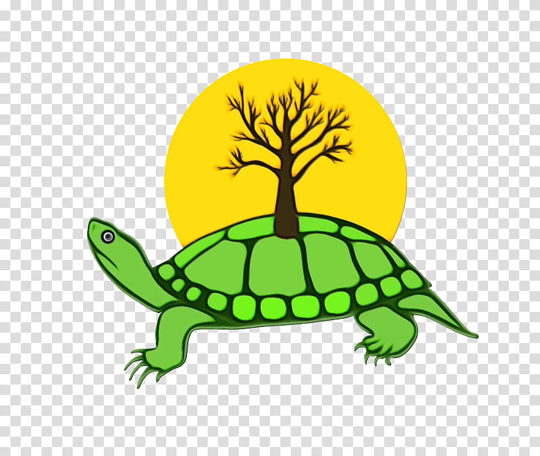 Sea Turtle, Anishinaabe, Indigenous Peoples, Turtle Island, History, Indigenous Peoples In Canada, Ojibwe, Symbol transparent background PNG clipart