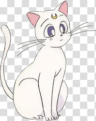 Artemis Sailor Moon, white cat illustration transparent ...