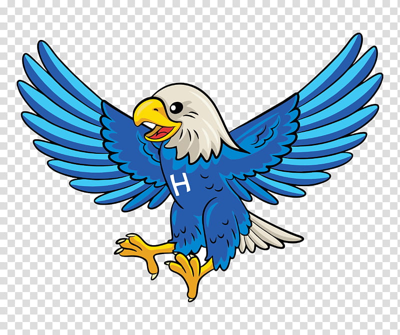 Eagle Bird, Bald Eagle, Cartoon, Drawing, Golden Eagle, Beak, Symbol, Falconiformes transparent background PNG clipart