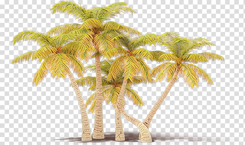Palm tree, Cartoon, Plant, Woody Plant, Arecales, Vegetation, Coconut, Elaeis transparent background PNG clipart