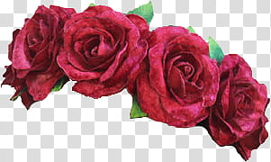 Flower Crowns in MichySwag, red roses headdress transparent background PNG clipart