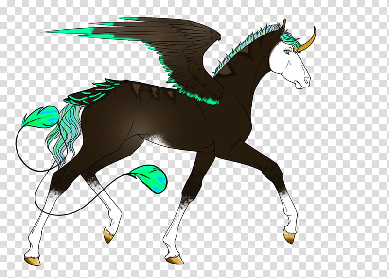 Aeropeios Foal DHS Boulevard of Broken Dreams transparent background PNG clipart