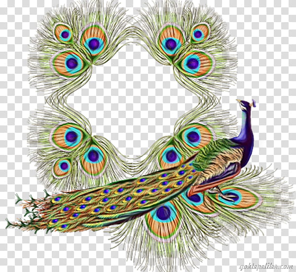 Green and blue peacock feather, Krishna Feather, Peacock Feather s,  peafowl, logo, bird png