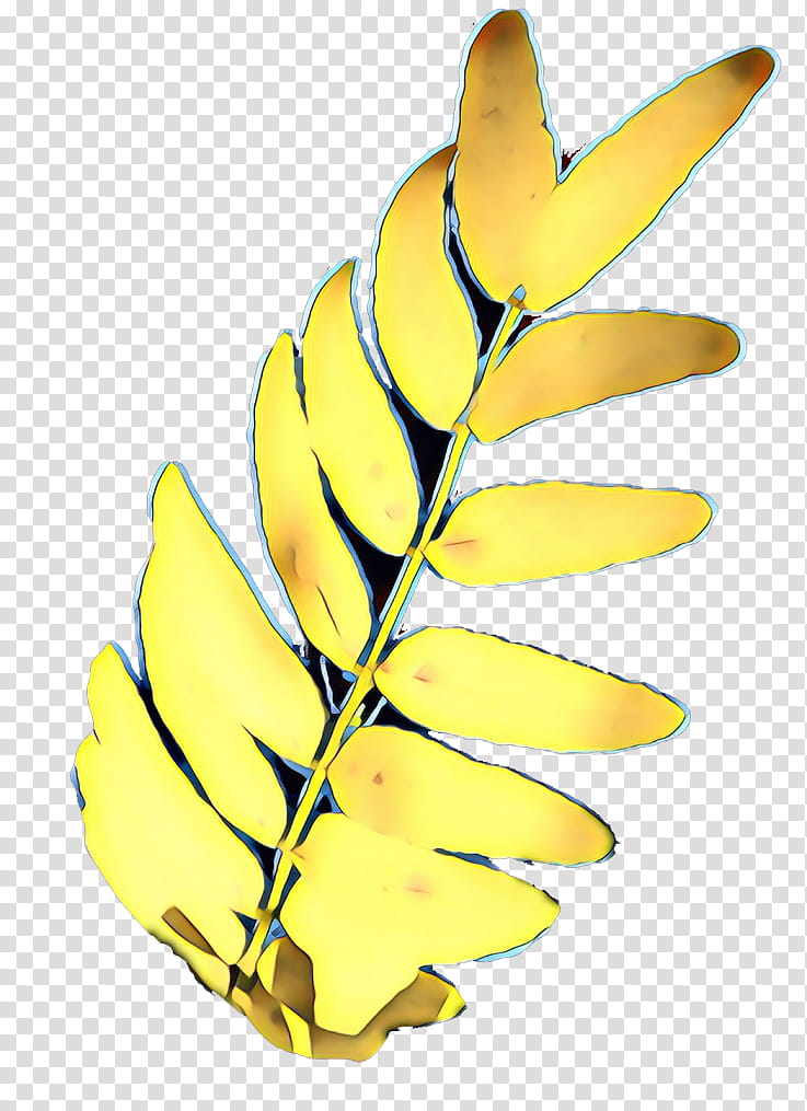 Banana Leaf, Plant Stem, Yellow, Fruit, Line, Petal, Tree, Plants transparent background PNG clipart