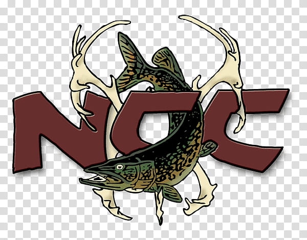 Eagle, North Caribou Lake, Eagle Lake, Dryden, Accommodation, Hotel, Ontario, Decapoda transparent background PNG clipart