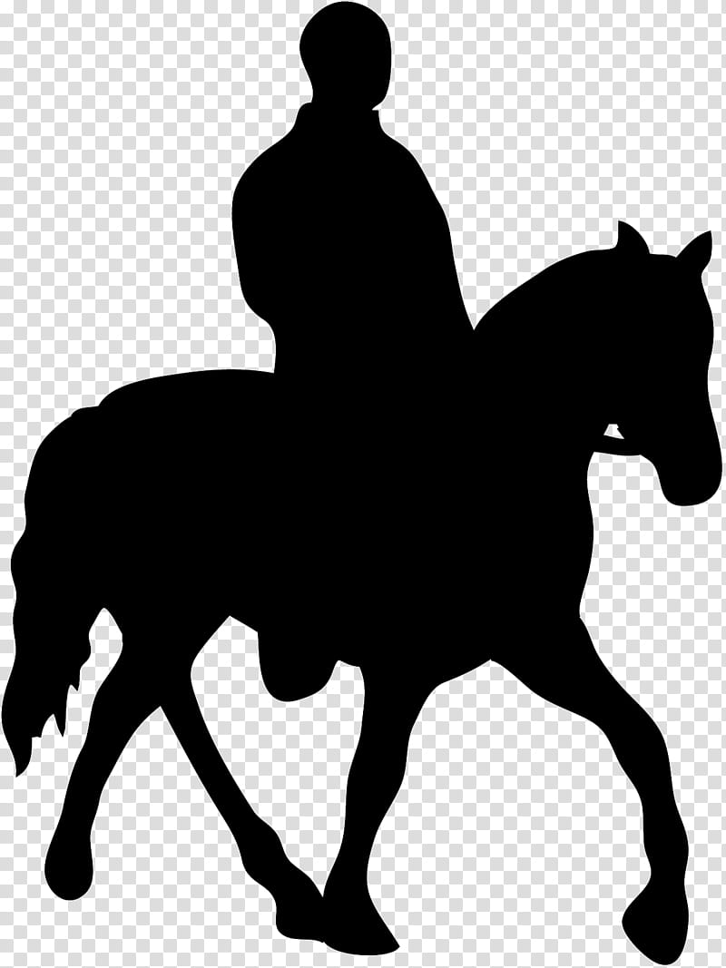 Man, Horse, Silhouette, Horserider, Equestrian, Drawing, Collection, Animal Figure transparent background PNG clipart