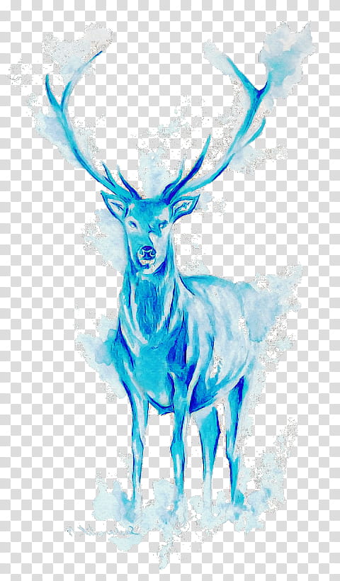 deer wildlife antelope drawing elk transparent background PNG clipart