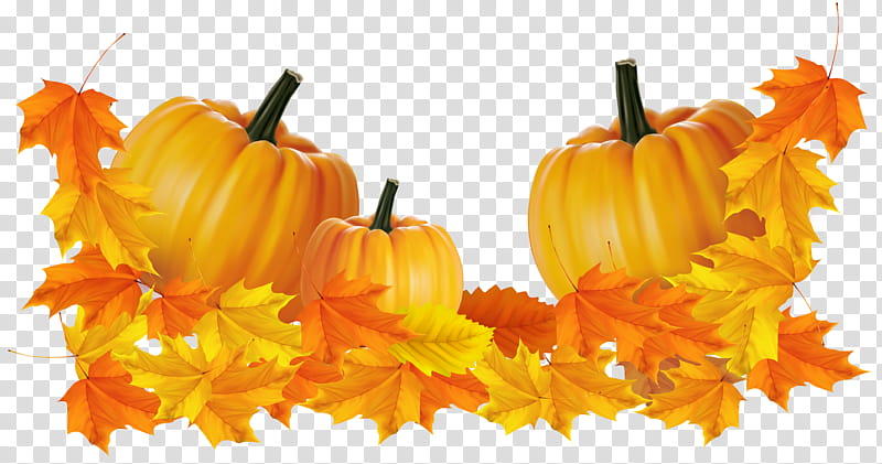 Autumn swatches, orange pumpkins transparent background PNG clipart