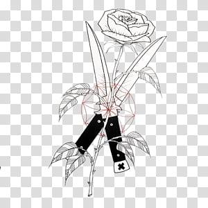 Watercolor Flower, Drawing, Line Art, Flower Drawings, Watercolor Painting, Hashtag, Blackandwhite, Plant transparent background PNG clipart thumbnail