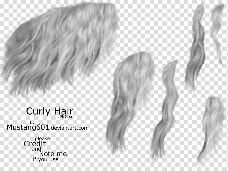 Curly Manes tails grey transparent background PNG clipart