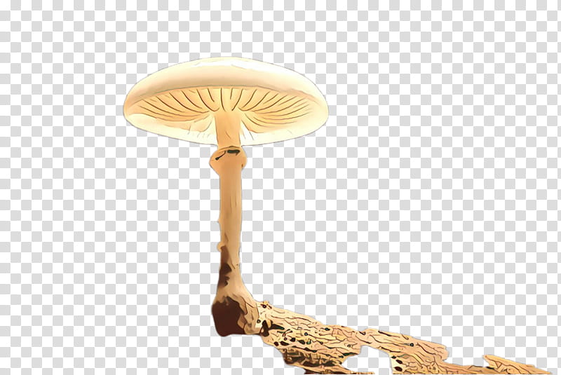 mushroom lamp light fixture ceiling agaricaceae, Lighting Accessory transparent background PNG clipart