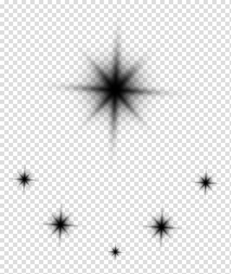 Star, Angle, Point, Computer, Tree, Sky, Line, Symmetry transparent background PNG clipart