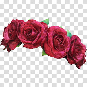 Flower Crowns, red rose illustration transparent background PNG clipart