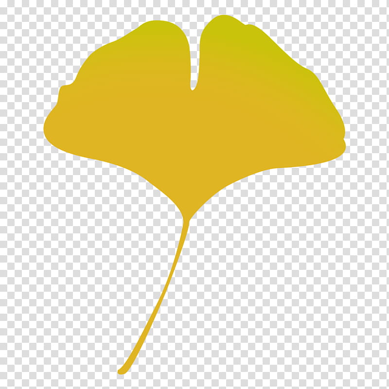 Autumn Tree Silhouette, Maidenhair Tree, Autumn Leaf Color, Text, Yellow, Season, Plants, Line transparent background PNG clipart