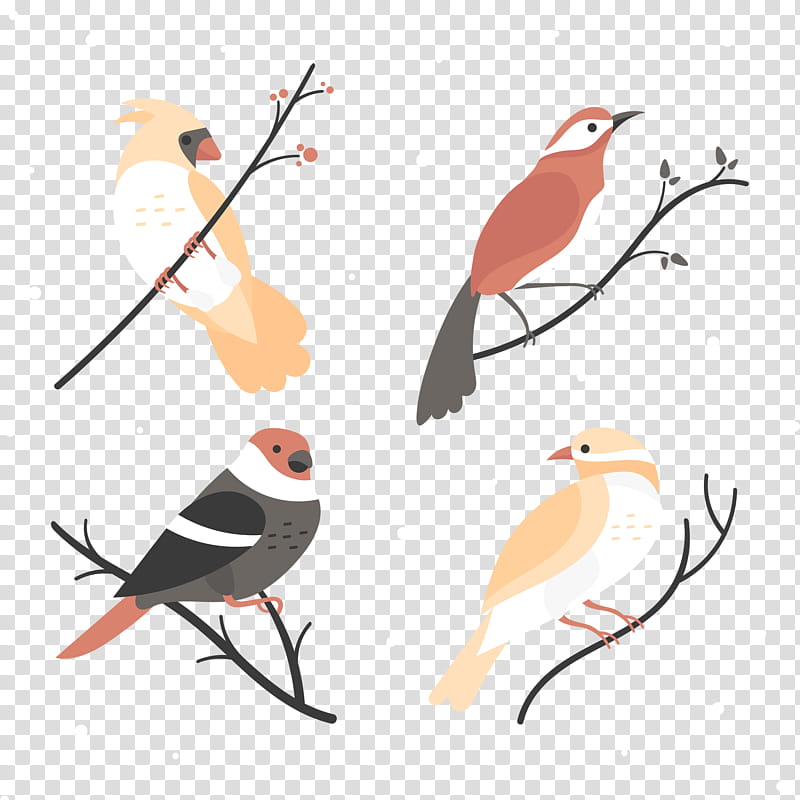 Robin Bird, Eurasian Magpie, Pigeons And Doves, Jay, Dendrocopos, Motif, Beak, European Robin transparent background PNG clipart