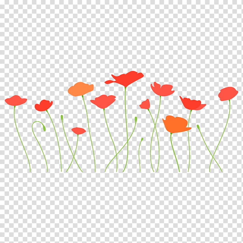 poppy flower, Coquelicot, Red, Corn Poppy, Plant, Plant Stem, Poppy Family transparent background PNG clipart