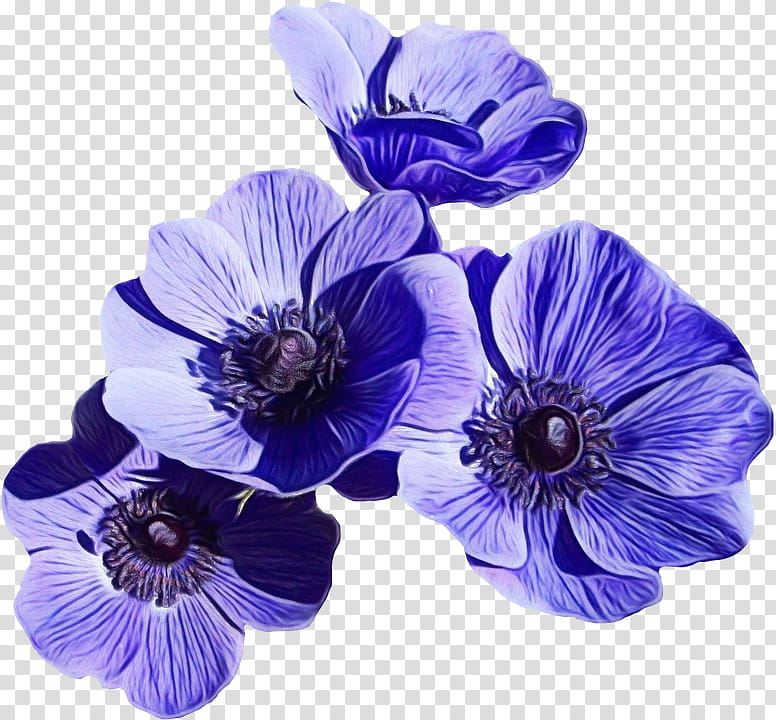 Flowers, Blue, Artificial Flower, Cut Flowers, Lily, Plants, Larkspur, Violet transparent background PNG clipart