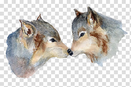 , two brown-and-grey wolves painting transparent background PNG clipart