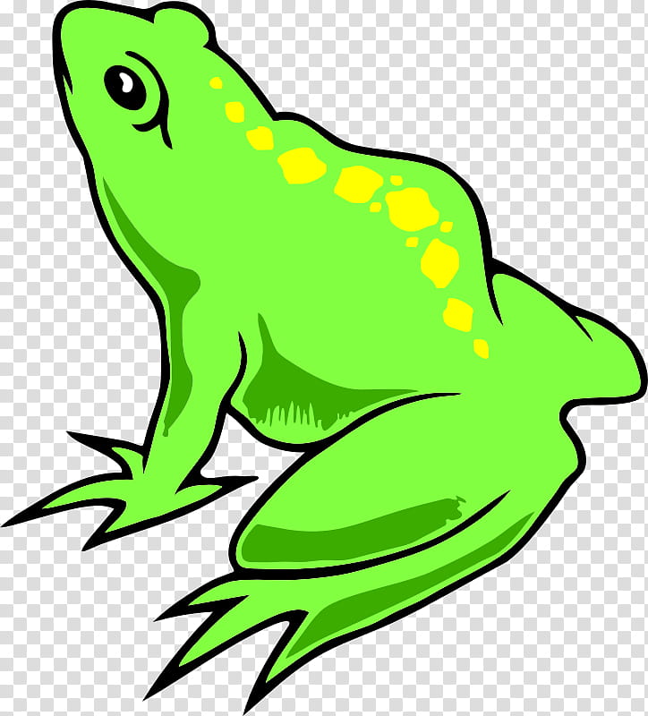 Green Leaf, Frog, True Frog, Amphibians, Edible Frog, Tree Frog, Drawing, Poison Dart Frog transparent background PNG clipart