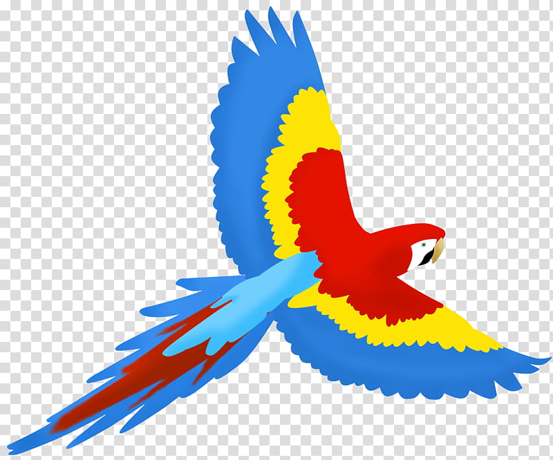 DSK Feathers and Fins, multicolored parrot illustration transparent background PNG clipart