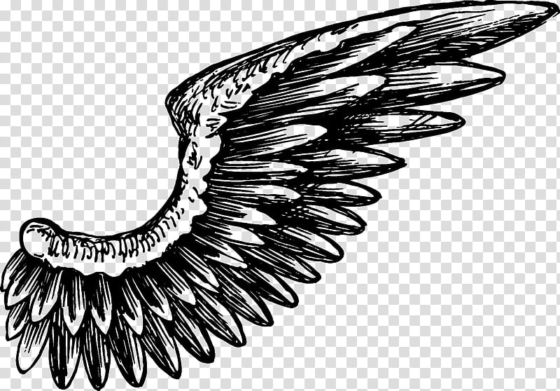 Wings tattoo 1203321 PNG