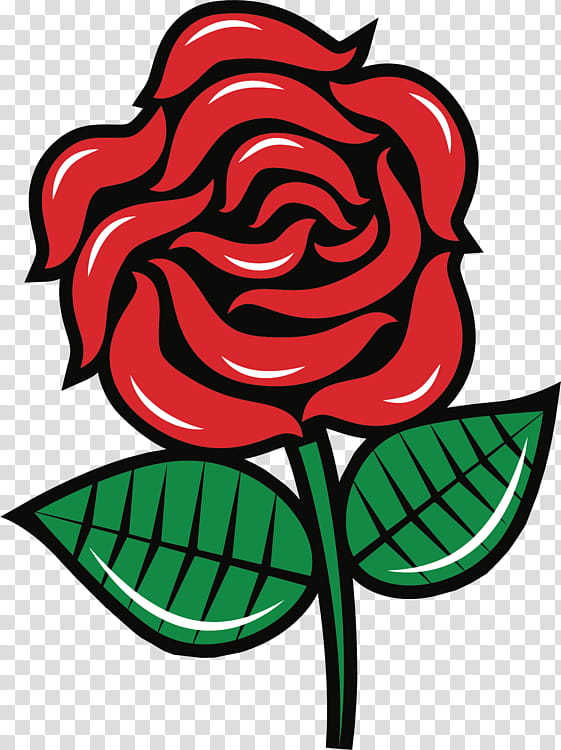 Black Rose Drawing, Garden Roses, Pink, Rose Family, Plant, Flower, Cut Flowers, Rose Order transparent background PNG clipart