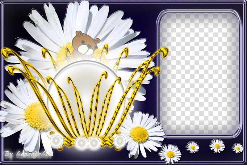 Jewellery Frame, white daisy flowers transparent background PNG clipart