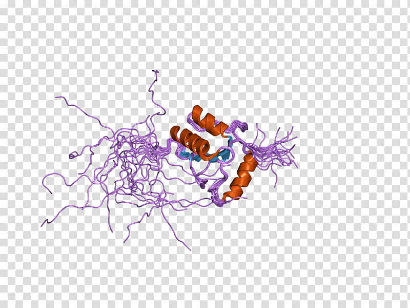 Terminal Deoxynucleotidyl Transferase Text, Enzyme, Thiamine, Dna, Enzyme Kinetics, Dna Polymerase, Enzyme Inhibitor, Polynucleotide transparent background PNG clipart