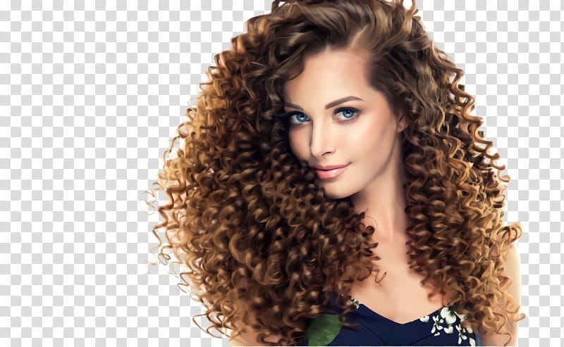 hair hairstyle ringlet clothing jheri curl, Wig, Brown, Eyebrow, Beauty, Costume transparent background PNG clipart