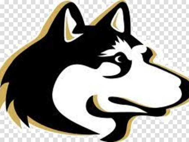 Wolf, Andover High School, Siberian Husky, Akita, School
, Minnesota, Head, Nose transparent background PNG clipart