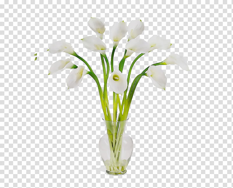 White Lily Flower, Floral Design, Artificial Flower, Cut Flowers, Arumlily, Flower Bouquet, Bog Arum, Plant Stem transparent background PNG clipart