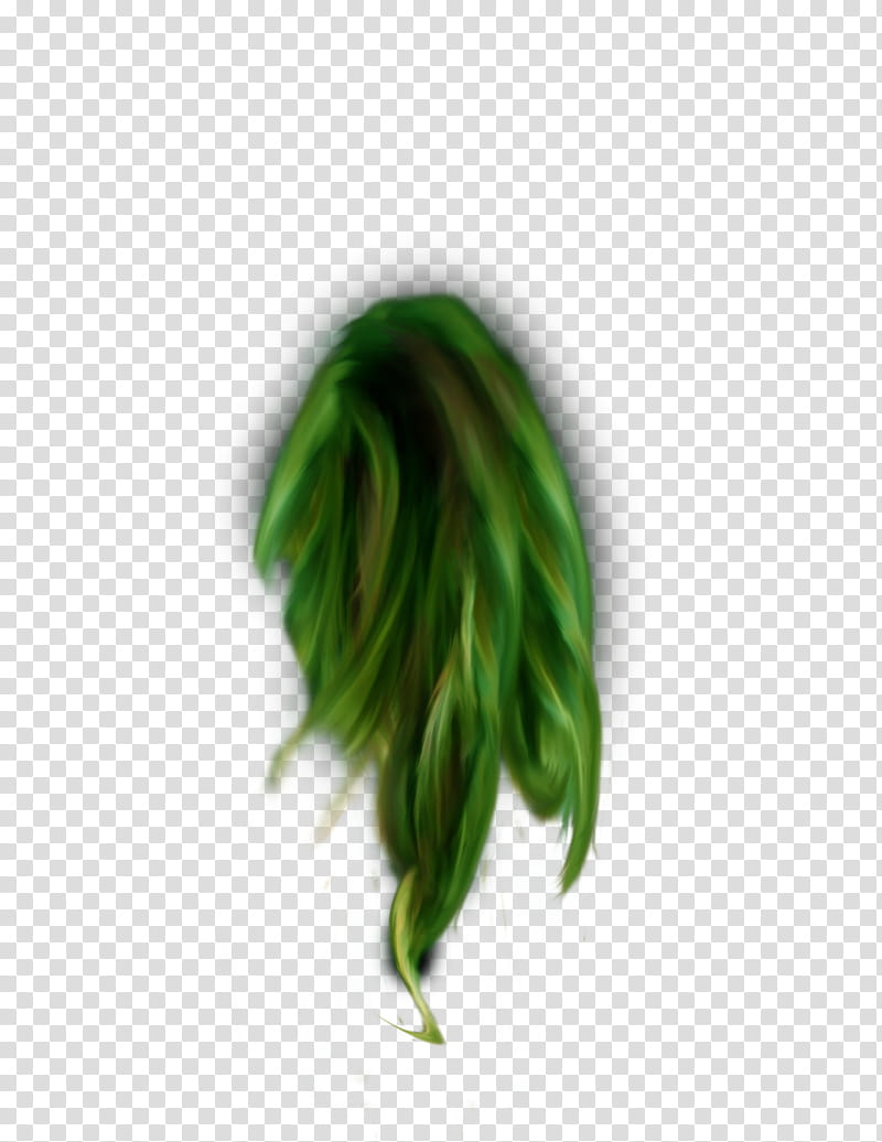 Mermaids Hair, green wig transparent background PNG clipart