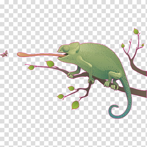 Chameleon, Lizard, Reptile, Carpet Chameleon, Drawing, Panther Chameleon, Animal, Chameleons transparent background PNG clipart