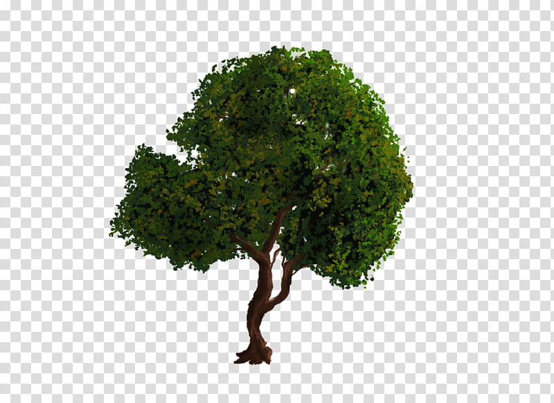 , green tree digital art transparent background PNG clipart