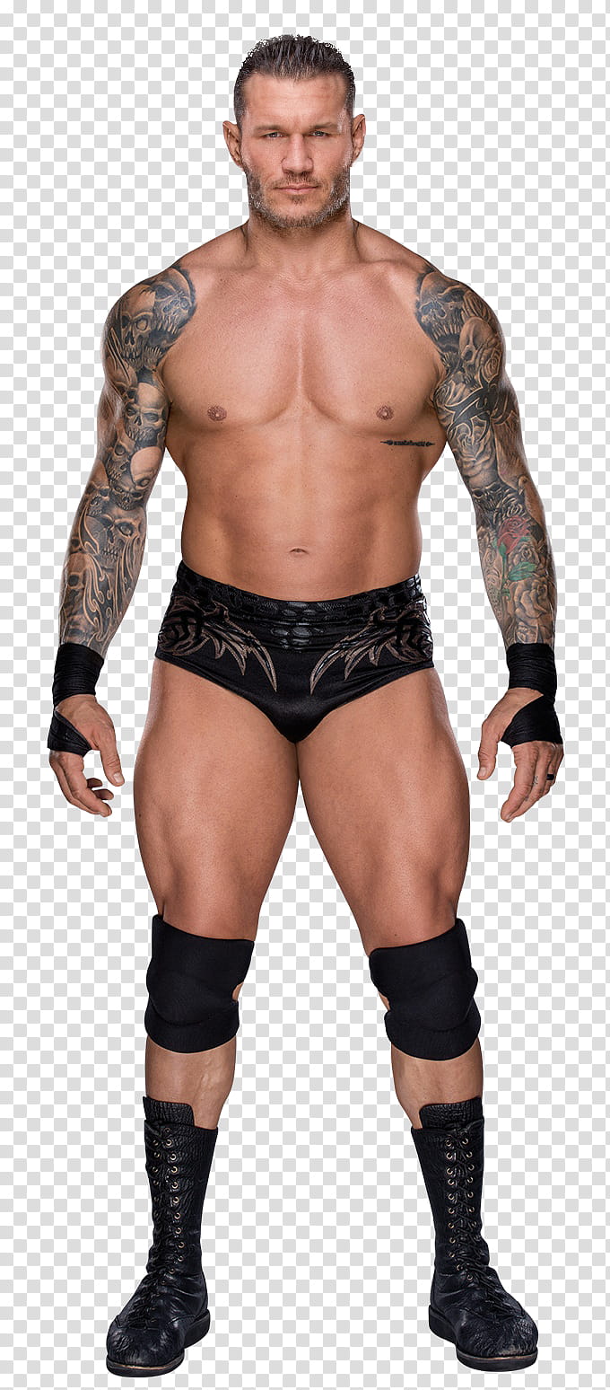 Randy Orton NEW  HD transparent background PNG clipart