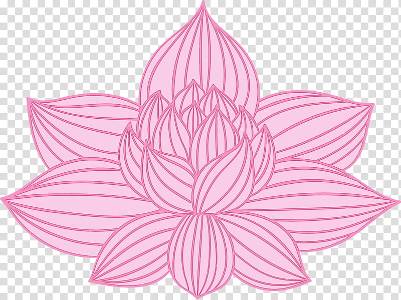 Lotus, Bodhi Lotus, Watercolor, Paint, Wet Ink, Pink, Lotus Family, Aquatic Plant transparent background PNG clipart