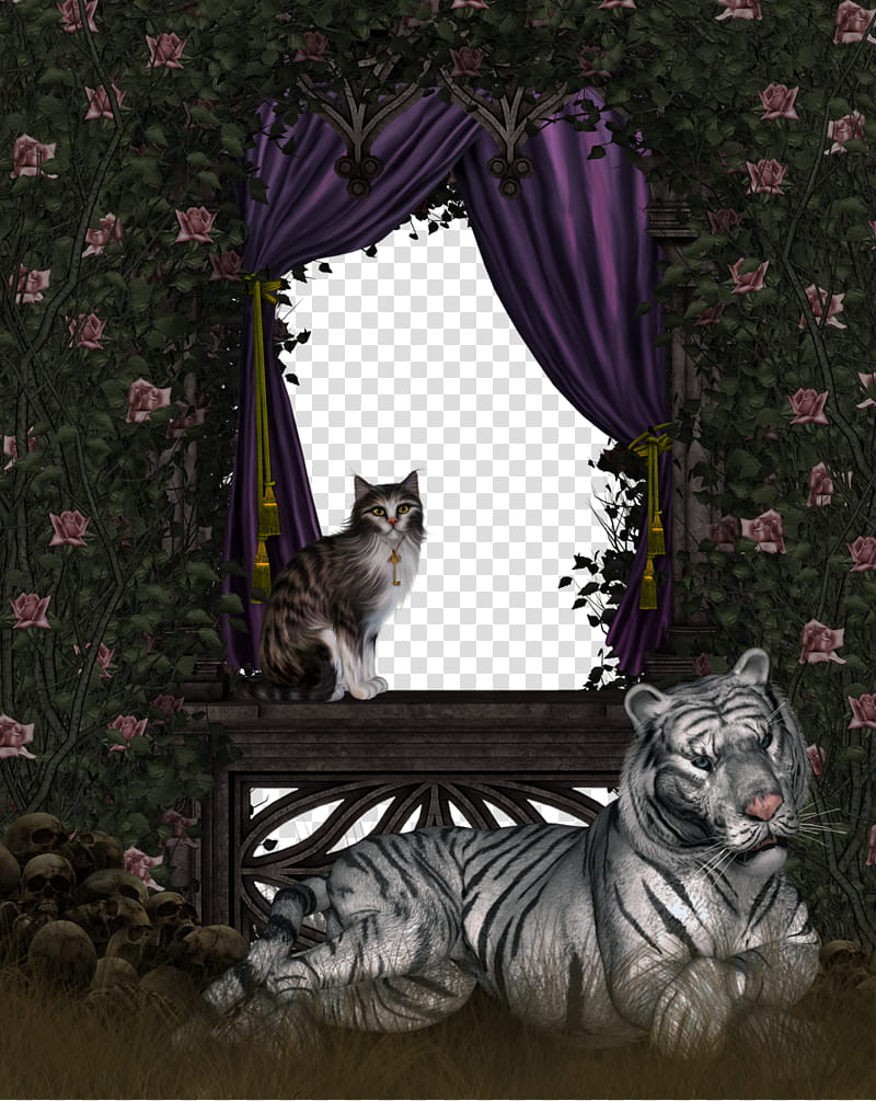 goth roses , albino tiger near window transparent background PNG clipart