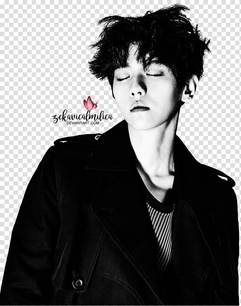 EXO Baekhyun W Korea transparent background PNG clipart