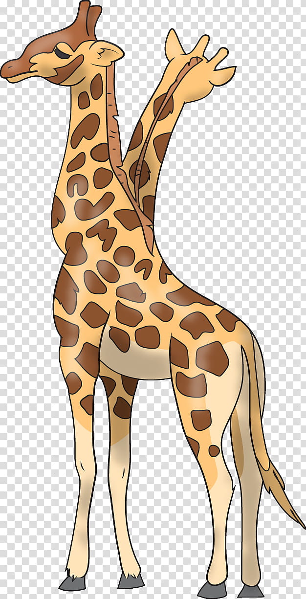 Animal, Giraffe, Deer, Neck, Giraffids, Wildlife, Giraffidae, Animal Figure transparent background PNG clipart