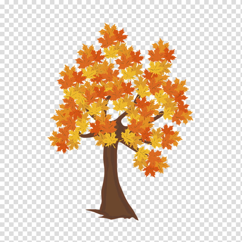 Red Maple Tree, Autumn, Autumn Leaf Color, Fall Tree, Drawing, Orange, Yellow, Woody Plant transparent background PNG clipart