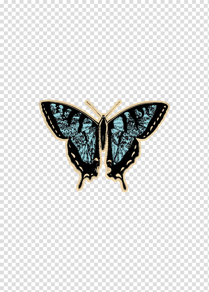 Fragile Song, blue and black butterfly transparent background PNG clipart