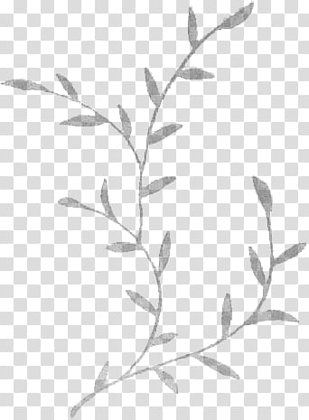 Leaves , grey leaves art transparent background PNG clipart