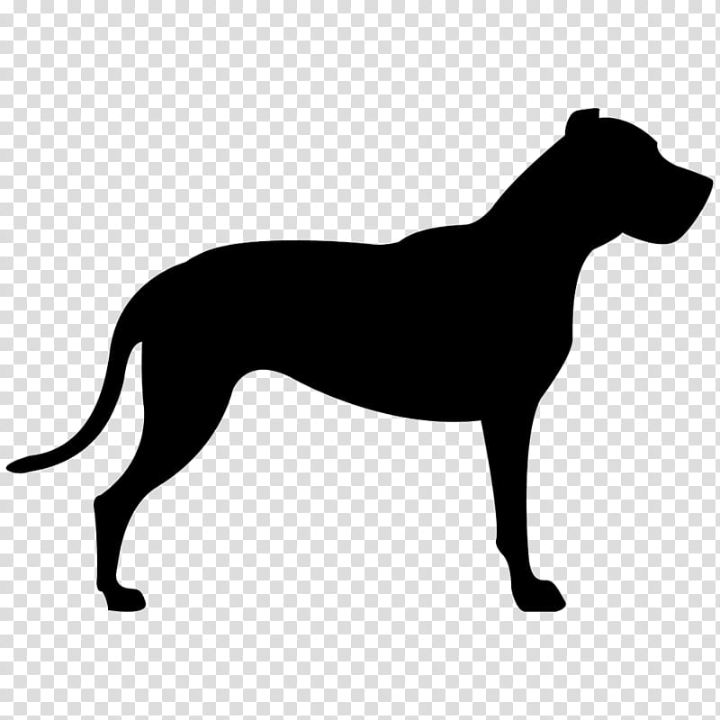 Dog 101 Staffordshire Terrier