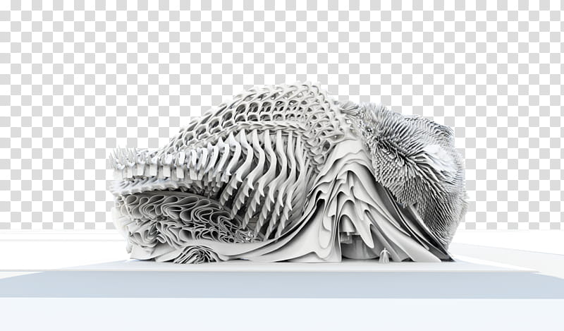 Student, Southern California Institute Of Architecture, Black White M, Skeleton, Bone, Project, Email, Ting Inc transparent background PNG clipart