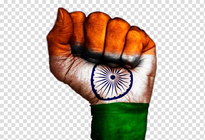 India Independence Day Republic Day, India Flag, India Republic Day, Patriotic, Flag Of India, Orange, Video, Thumb transparent background PNG clipart