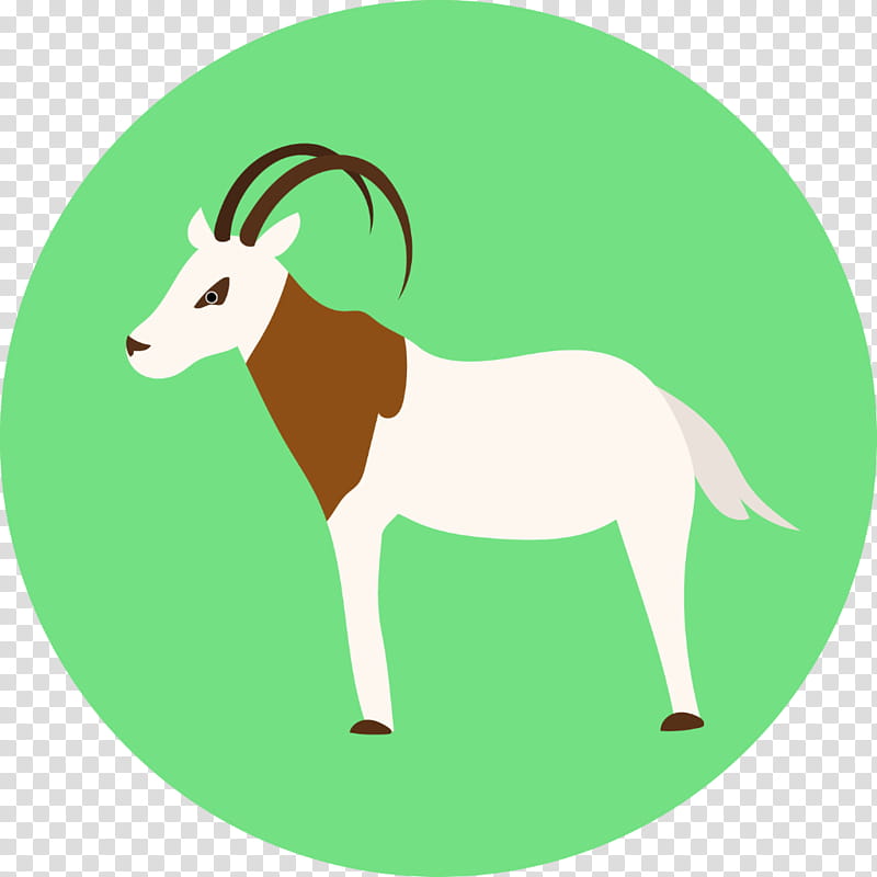 Green Grass, Sheep, Goat, Horn, Oryx, Cattle, Antelope, Deer transparent background PNG clipart