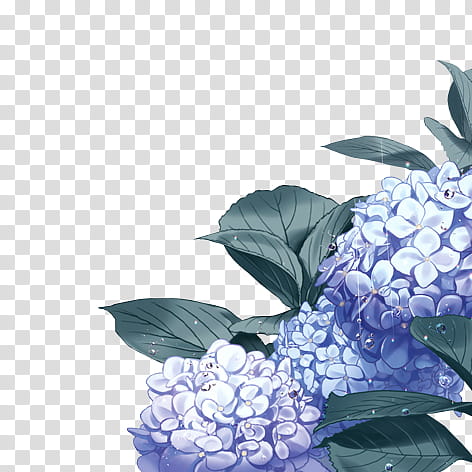 warmth, purple petaled flower illustration transparent background PNG clipart