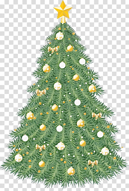 Christmas tree, Christmas Decoration, Colorado Spruce, Balsam Fir, White Pine, Yellow Fir, Oregon Pine, Christmas Ornament transparent background PNG clipart